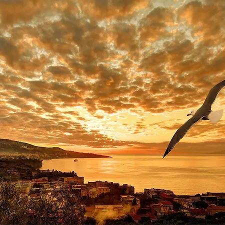 Lägenhet Caruso 4 By Villasandco Rentalsorrento Sorrento